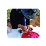 Consultoria Online (Produção de camarão marinho ou agua doce)