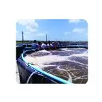 Consultoria Online (Produção de camarão marinho ou agua doce)