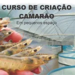 Curso Completo de Criação de Camarão Marinho