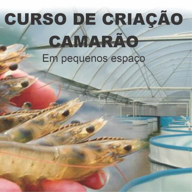 Curso Completo de Criação de Camarão Marinho