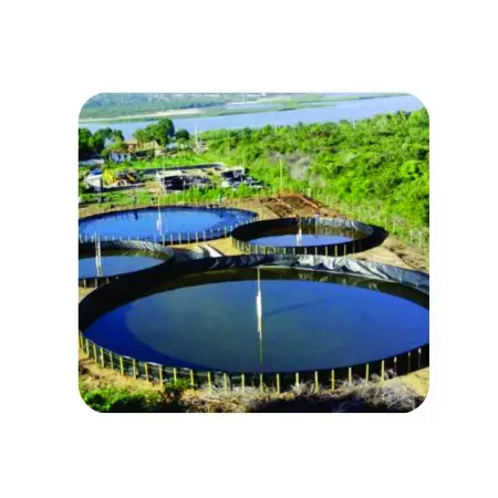 A imagem retrata um projeto de criação de camarão em Cascavel Ceará em tanques de geomembrana suspenso redondo