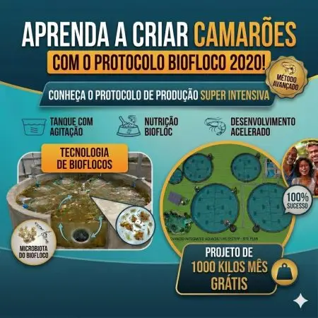 Curso Completo de Criação de Camarão Marinho
