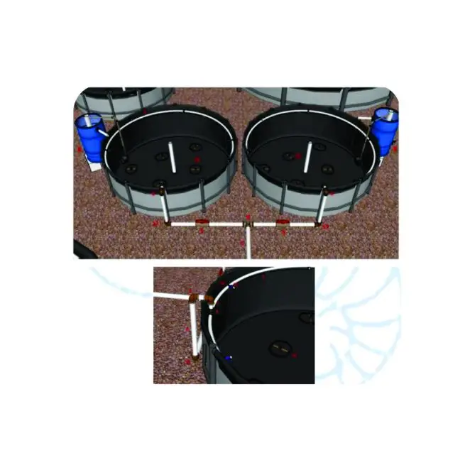 Projeto de 10 a 20 toneladas de Camarão (Copy) (Copy)