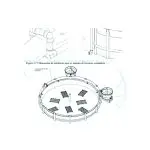 Projeto de 10 a 20 toneladas de Camarão (Copy) (Copy)