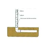 Projeto de 10 a 20 toneladas de Camarão (Copy) (Copy)