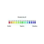 Teste Ph Digital Calibração Automática