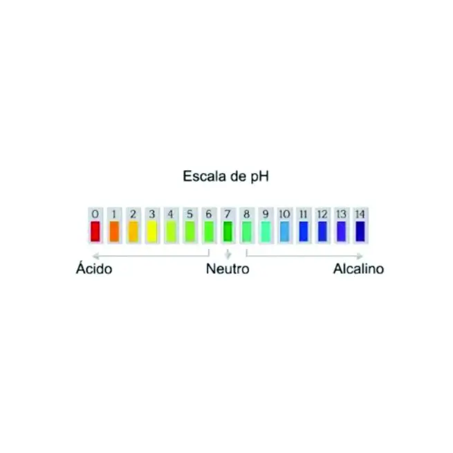 Teste Ph Digital Calibração Automática