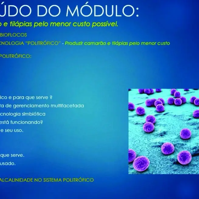 CURSO SIMBIÓTICOS E NOVOS FERTILIZANTES