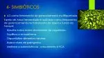 CURSO SIMBIÓTICOS E NOVOS FERTILIZANTES