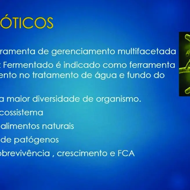 CURSO SIMBIÓTICOS E NOVOS FERTILIZANTES
