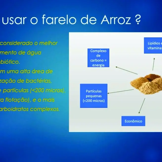 CURSO SIMBIÓTICOS E NOVOS FERTILIZANTES