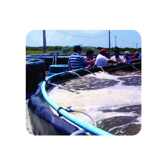 80 mil litros – Bolsão de Geomembrana + Flange + Registro + Frete Gratis