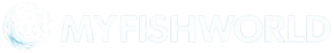 Myfishworld Networking