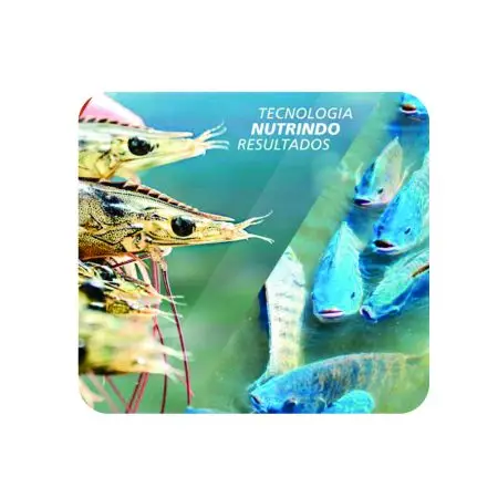 imagem com camarões e tilapias retratando que se pode criar os dois juntos