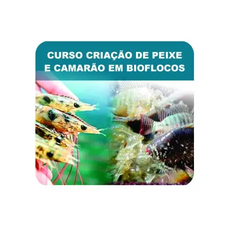 CURSO ONLINE DE CRIAÇÃO DE CAMARÃO MARINHO E TILÁPIAS EM BIOFLOCOS