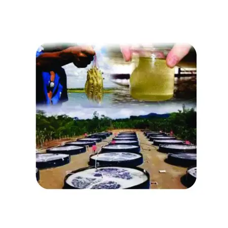 10 mil litros – Bolsão de Geomembrana + Flange + Registro + Frete Gratis