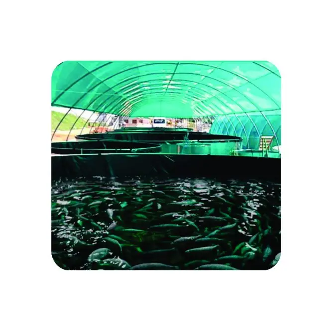 CURSO ONLINE DE CRIAÇÃO DE CAMARÃO MARINHO E TILÁPIAS EM BIOFLOCOS